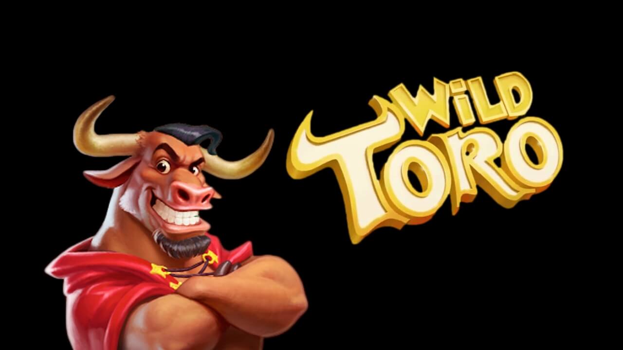 Wild Toro Игровой процесс