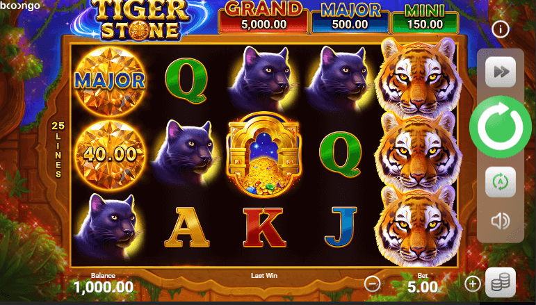 Tiger Stone Игровой процесс