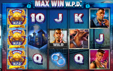 Max Win W.P.D Игровой процесс