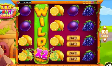 Wild Fruit Jam Игровой процесс